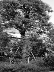 东丽注册公司